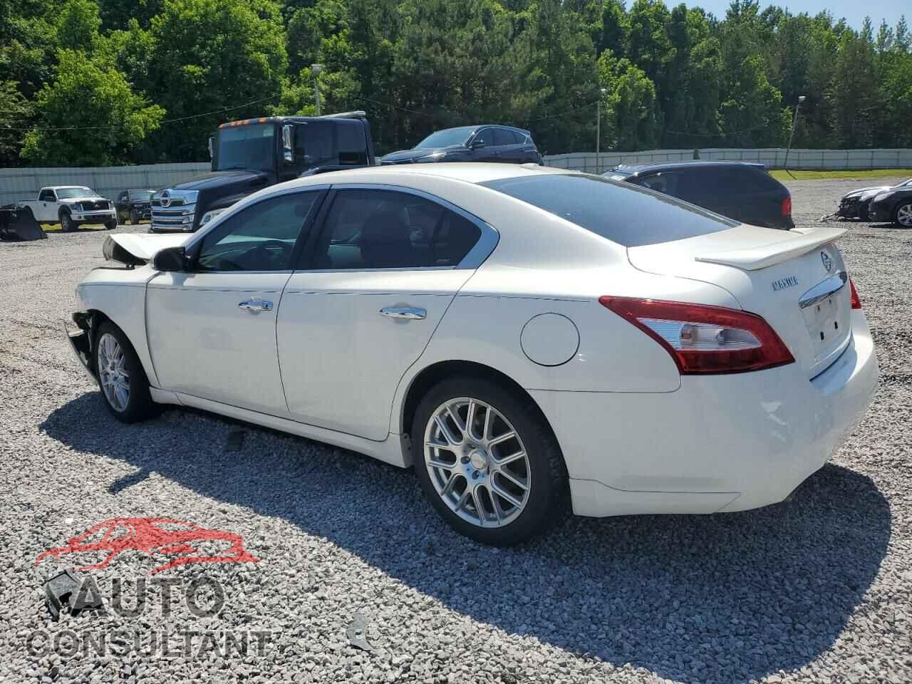 NISSAN MAXIMA 2009 - 1N4AA51E59C833626