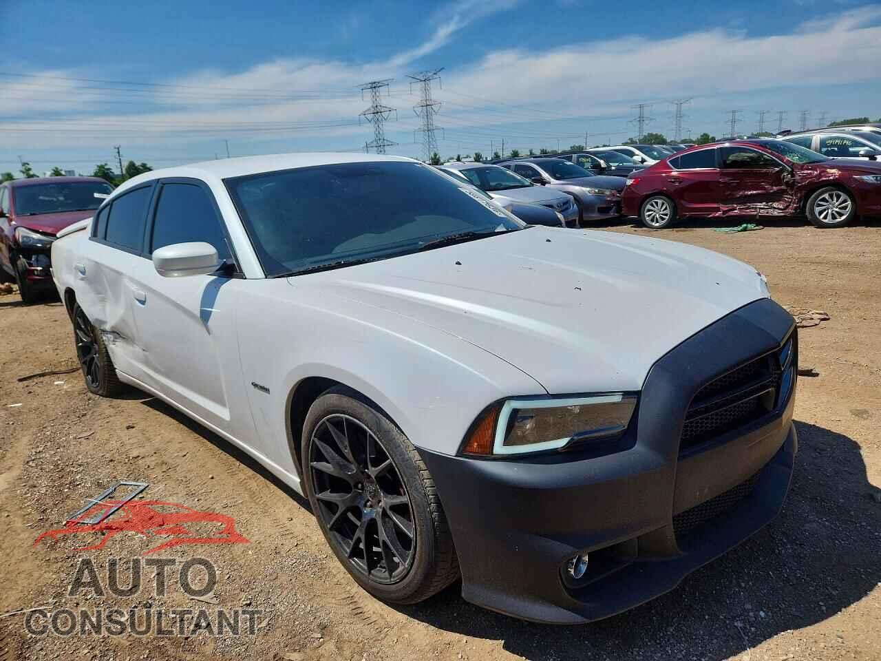 DODGE CHARGER 2013 - 2C3CDXCT7DH583091
