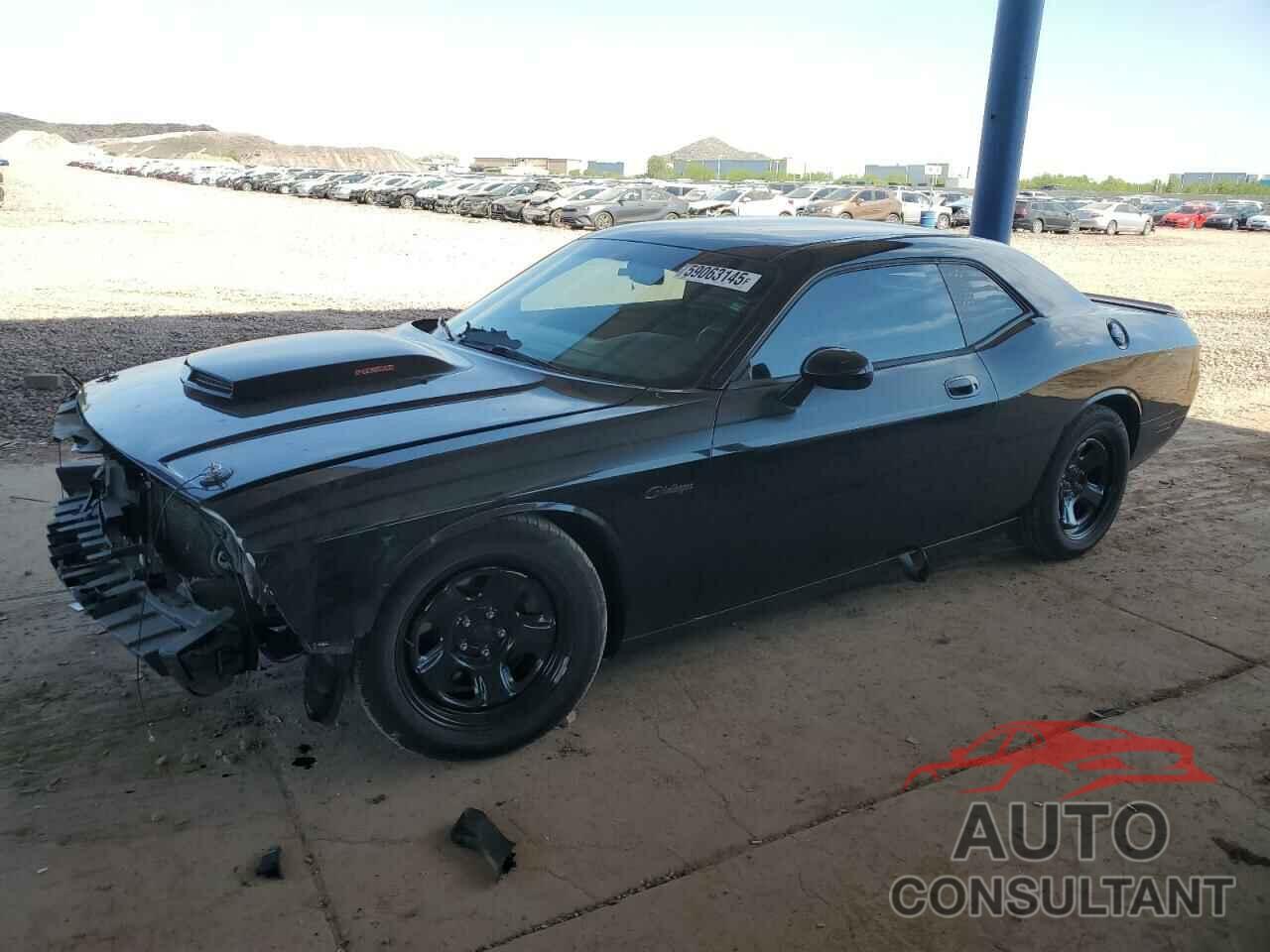 DODGE CHALLENGER 2010 - 2B3CJ5DT3AH138786