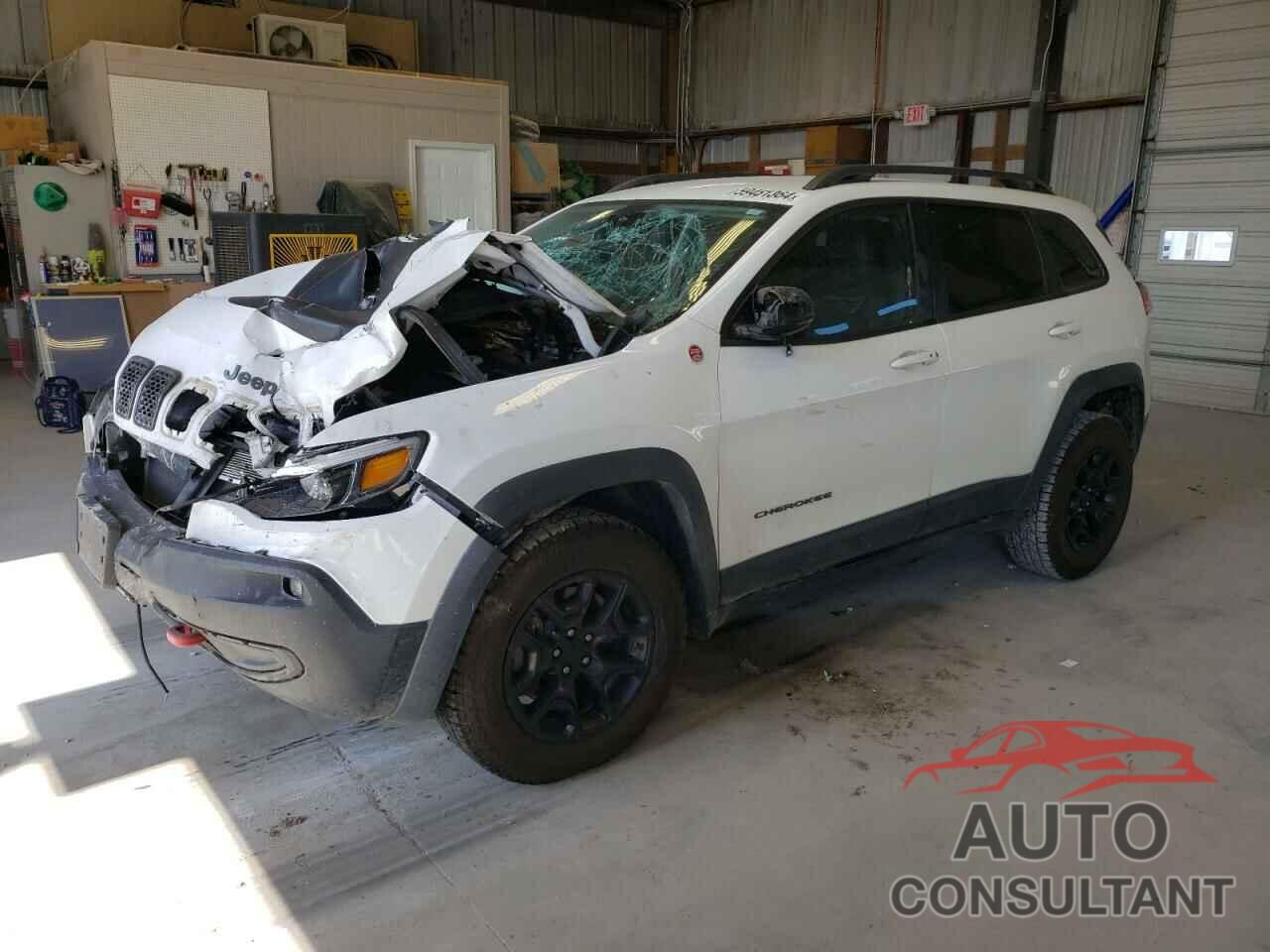 JEEP CHEROKEE 2019 - 1C4PJMBX4KD115063