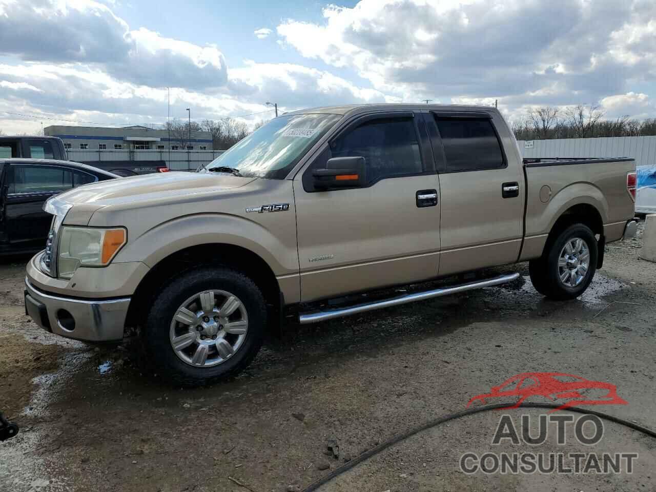 FORD F-150 2011 - 1FTFW1CT6BFB80623