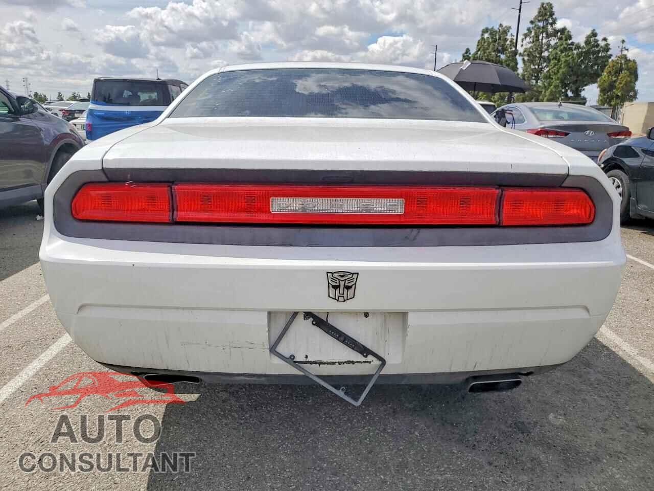 DODGE CHALLENGER 2013 - 2C3CDYAG4DH693821