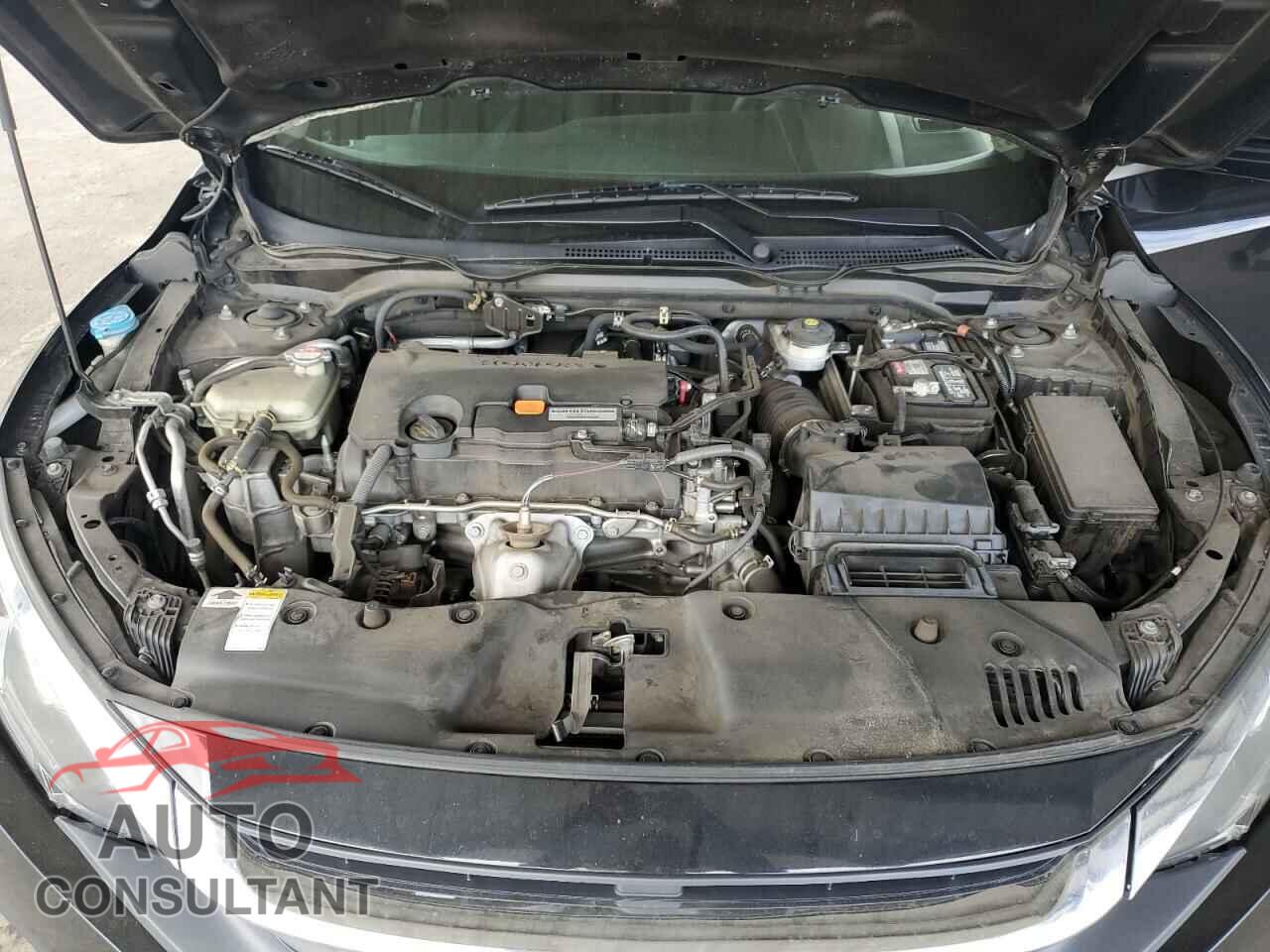 HONDA CIVIC 2016 - 2HGFC2F77GH520253