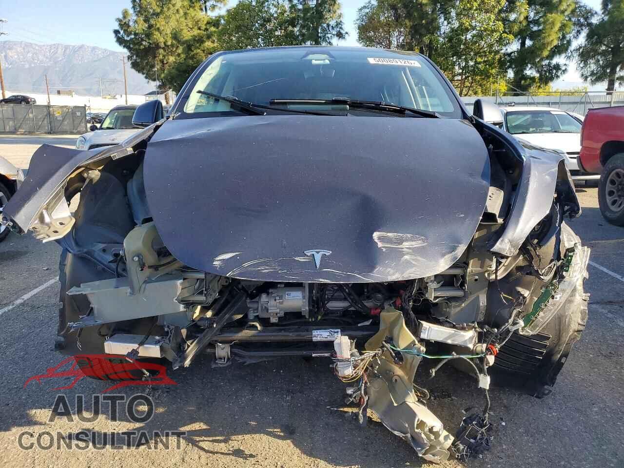 TESLA MODEL Y 2024 - 7SAYGAEE5RF064092