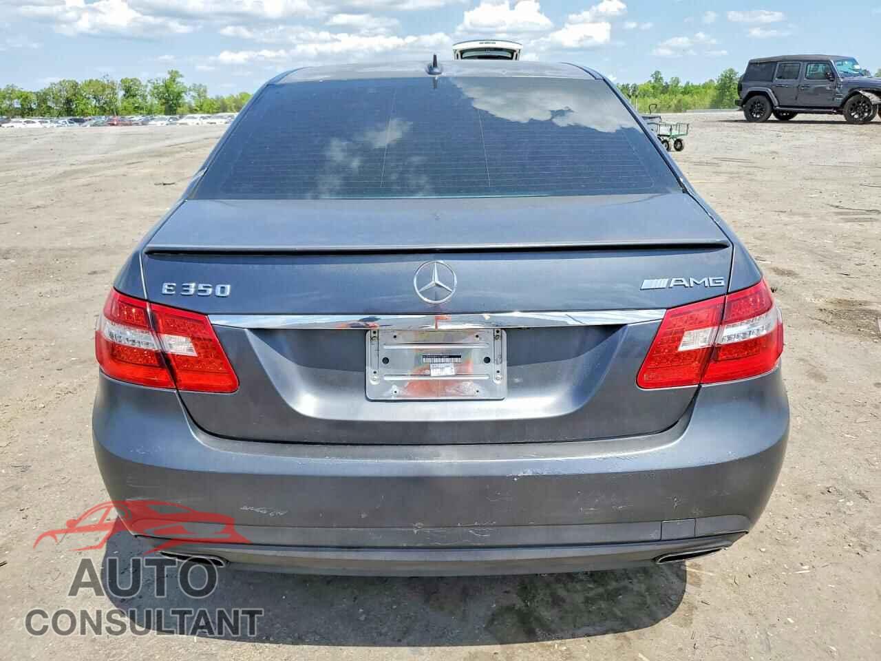 MERCEDES-BENZ E-CLASS 2010 - WDDHF8HB9AA133492
