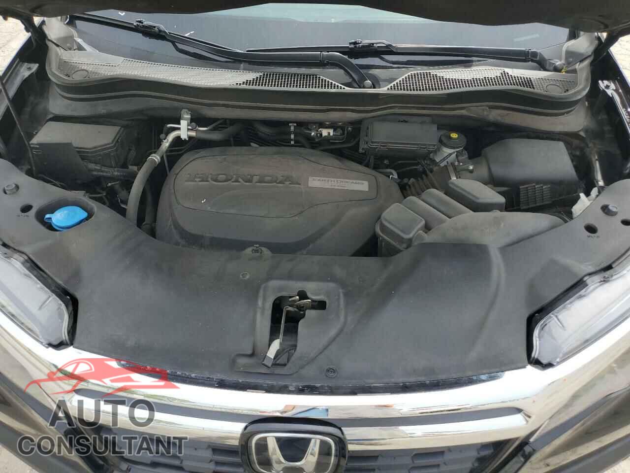 HONDA RIDGELINE 2019 - 5FPYK3F79KB002358