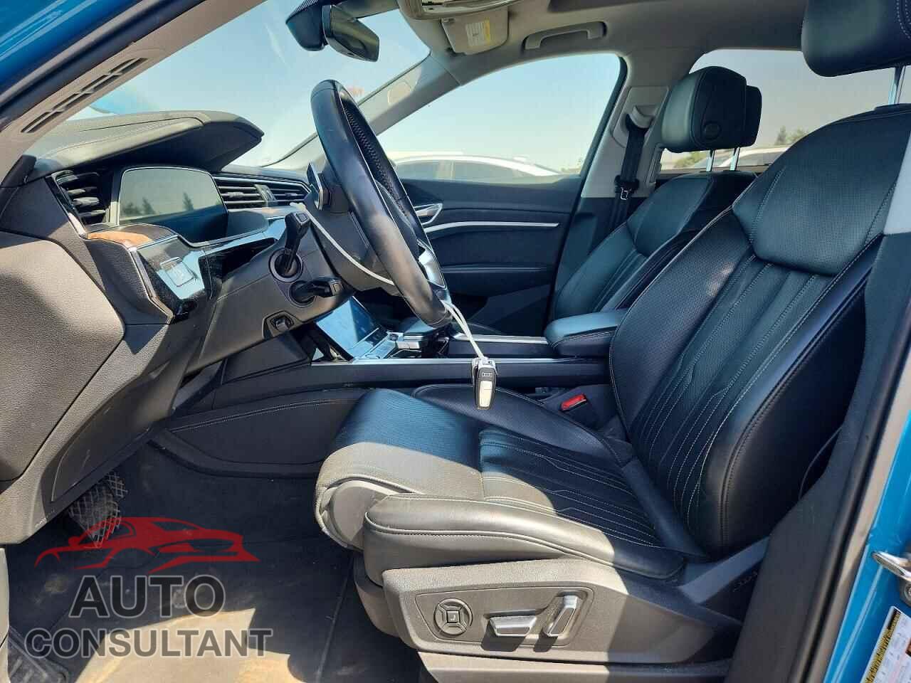 AUDI E-TRON 2019 - WA1VABGE0KB016507
