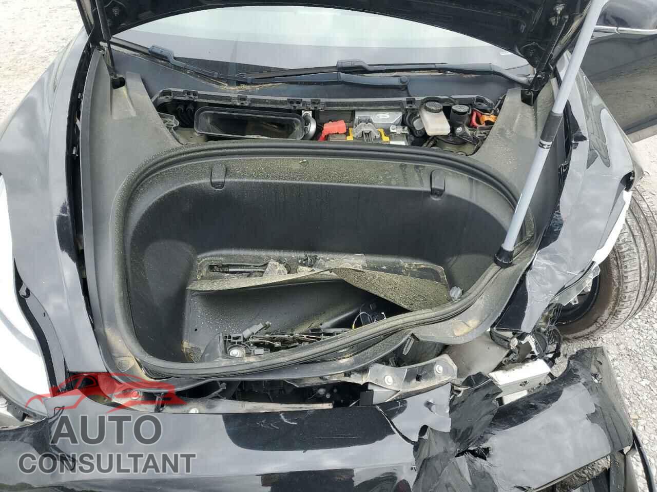 TESLA MODEL 3 2019 - 5YJ3E1EA1KF189977