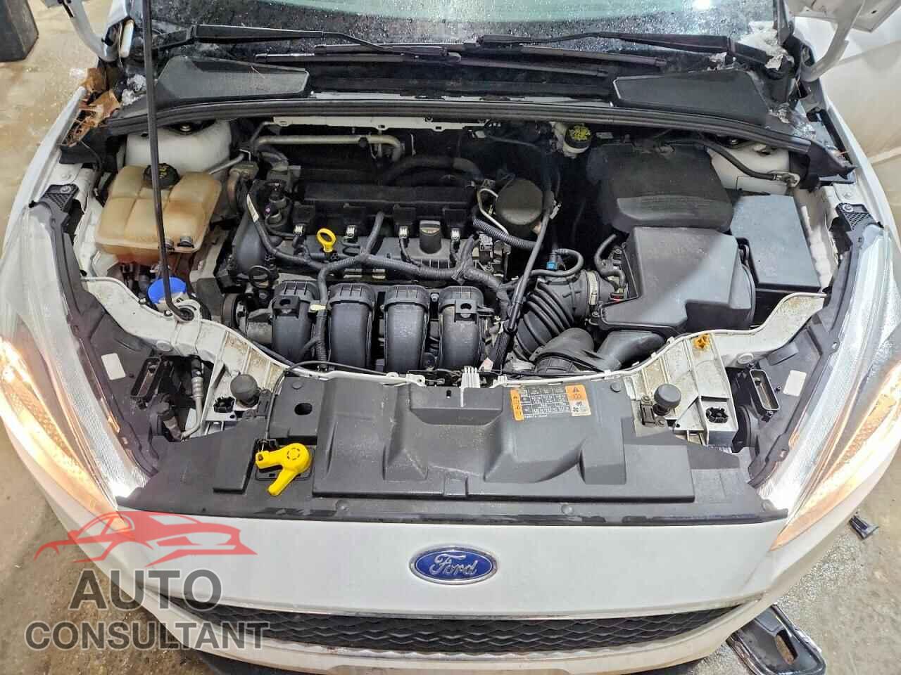 FORD FOCUS 2016 - 1FADP3K25GL213554