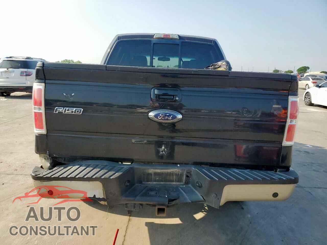 FORD F-150 2009 - 1FTPW12VX9FA15532