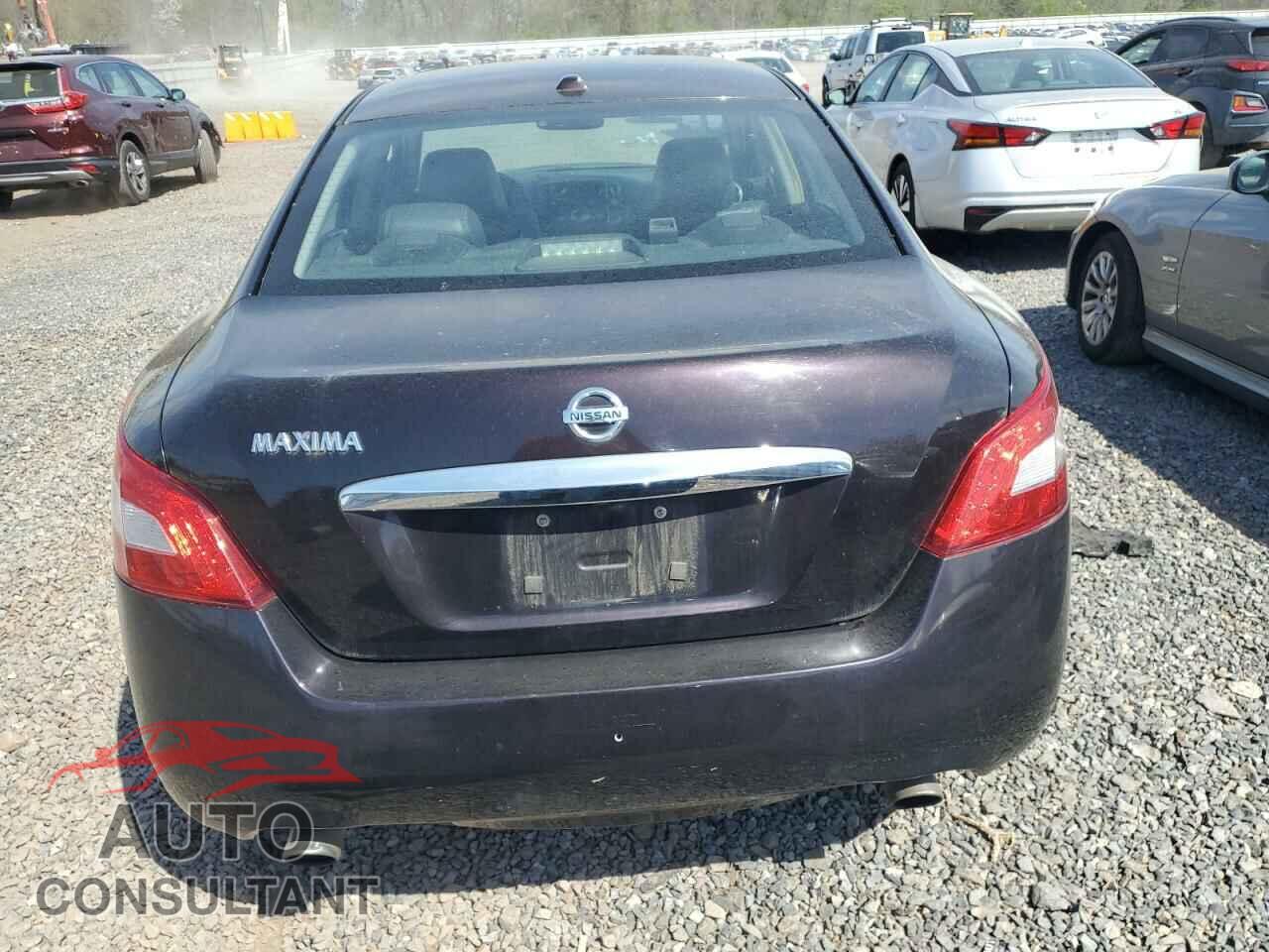 NISSAN MAXIMA 2011 - 1N4AA5AP9BC804055