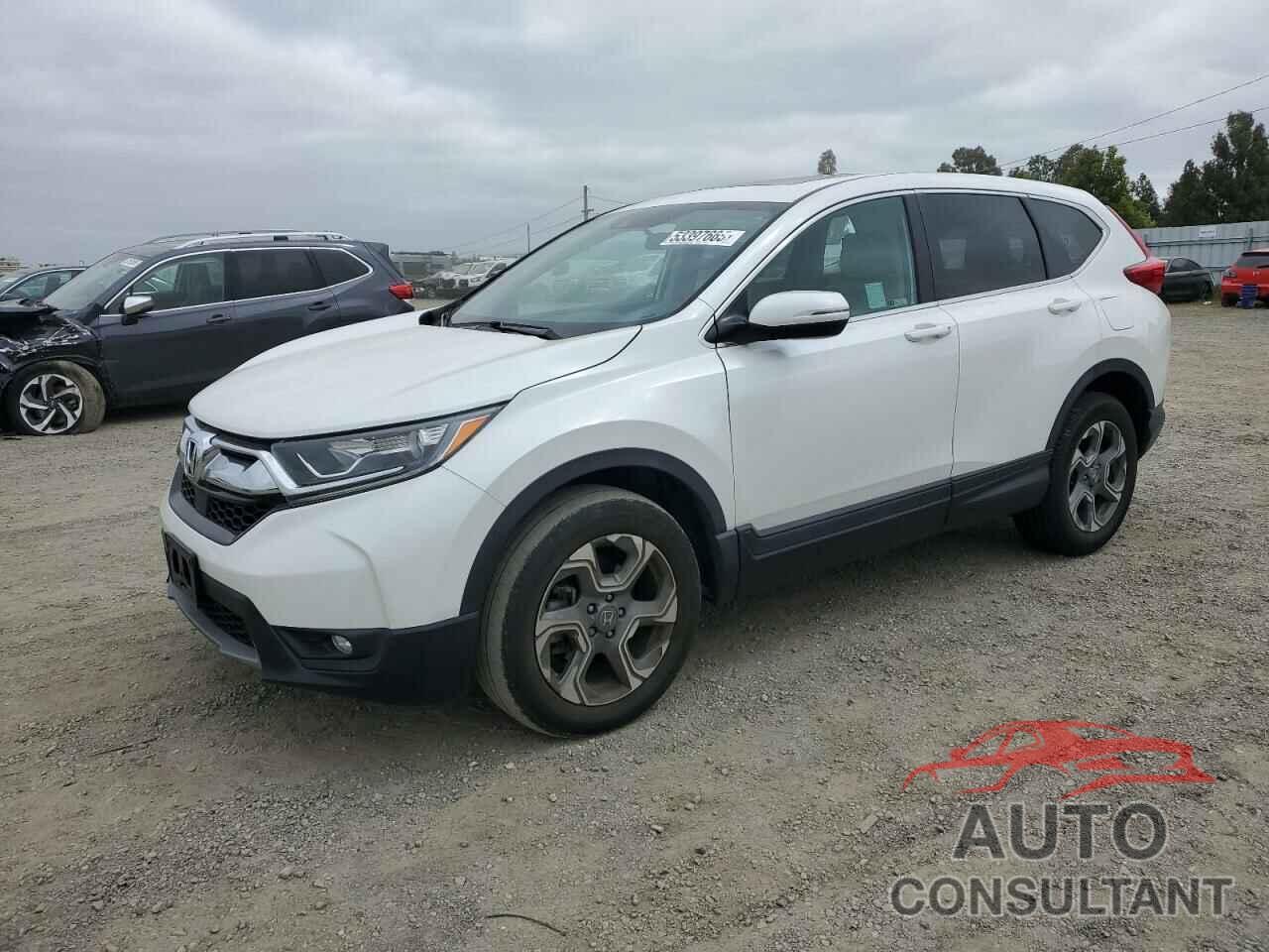 HONDA CRV 2019 - 5J6RW2H56KA020374