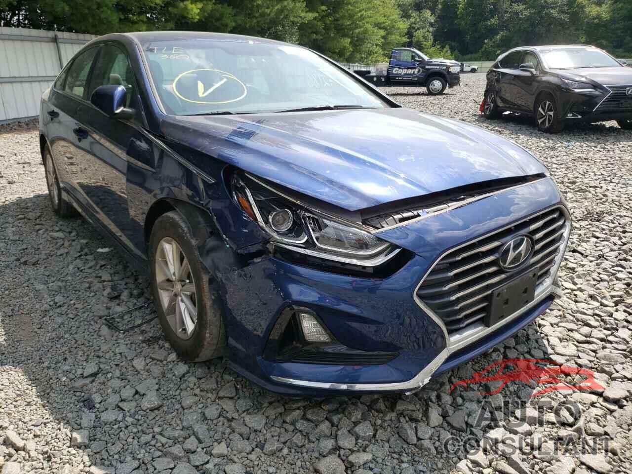 HYUNDAI SONATA 2019 - 5NPE24AF6KH769098