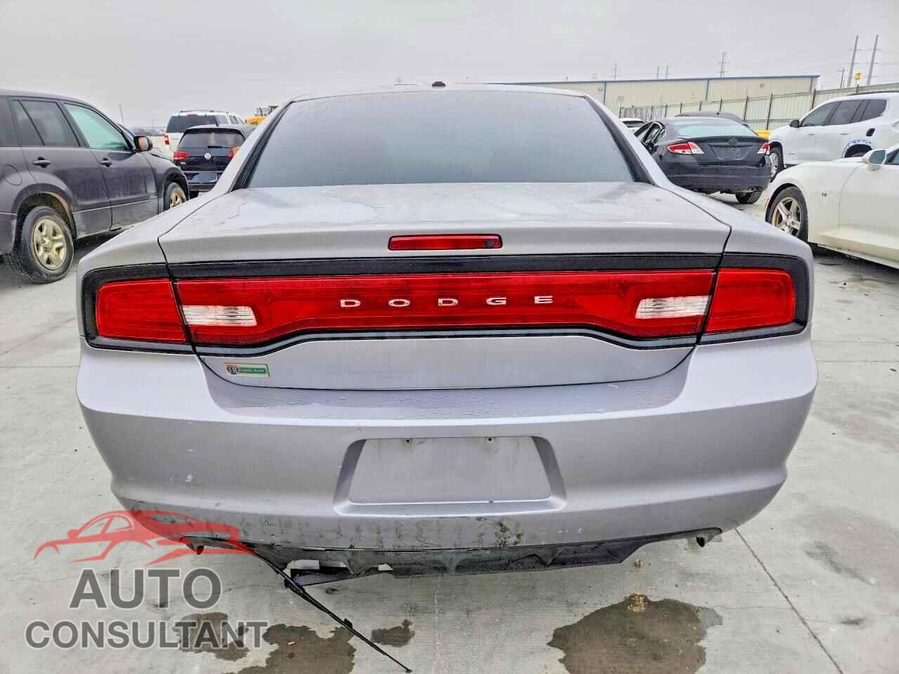 DODGE CHARGER 2013 - 2C3CDXHG3DH713959
