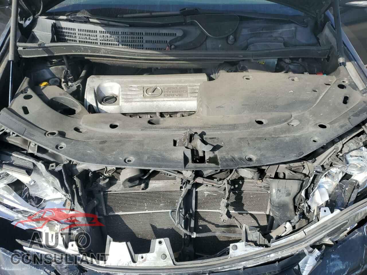 LEXUS HS 2010 - JTHBB1BA8A2036392