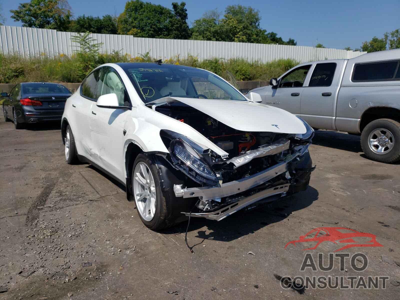 TESLA MODEL Y 2021 - 5YJYGDEE8MF231066