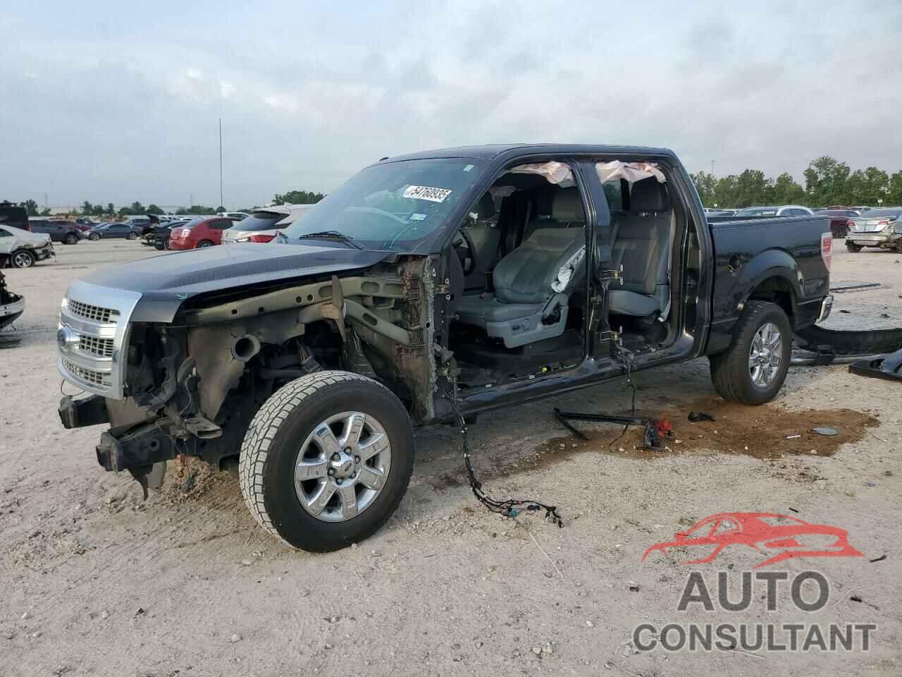 FORD F-150 2014 - 1FTFW1CFXEKG46446