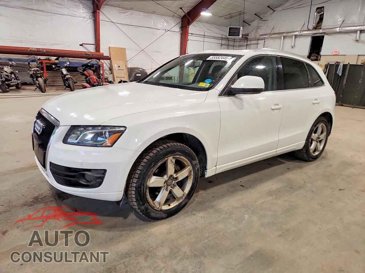 AUDI Q5 2009 - WA1KK78R89A043386