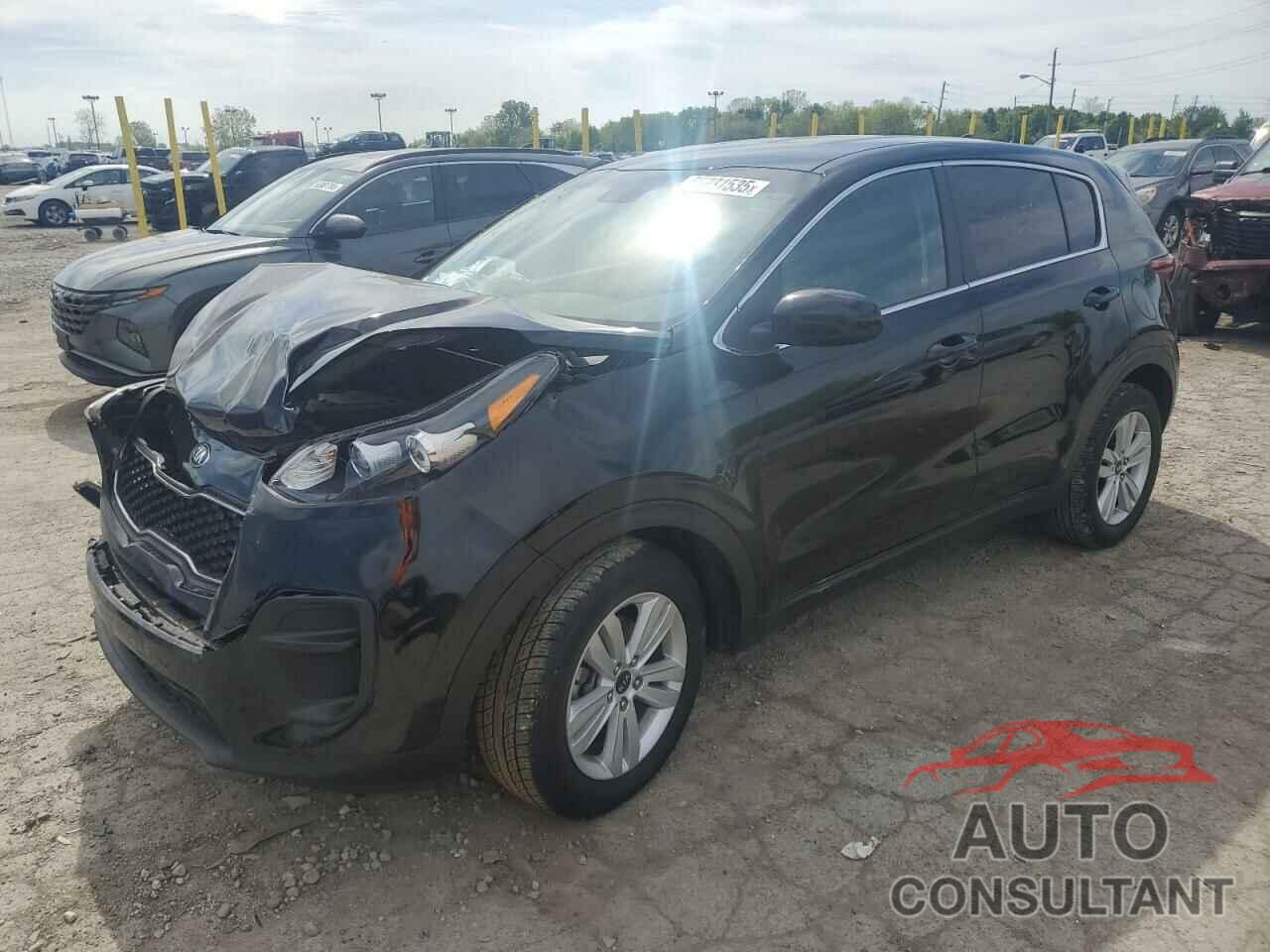 KIA SPORTAGE 2017 - KNDPM3AC7H7135301