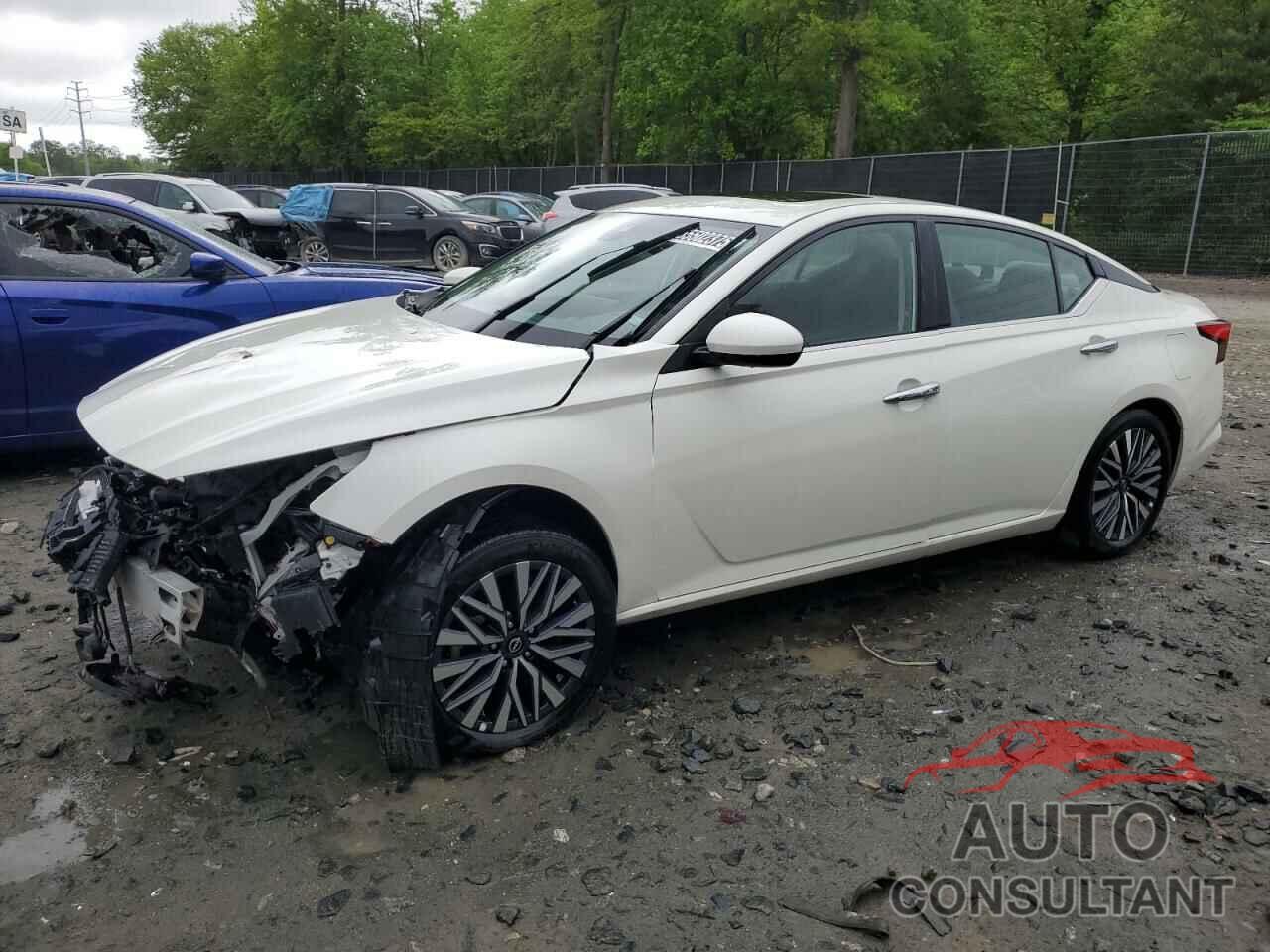 NISSAN ALTIMA 2024 - 1N4BL4DV8RN429650