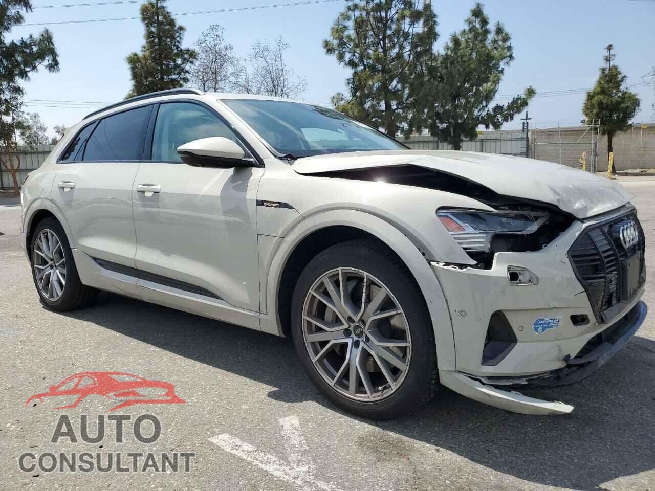 AUDI E-TRON 2021 - WA1VAAGE9MB024067