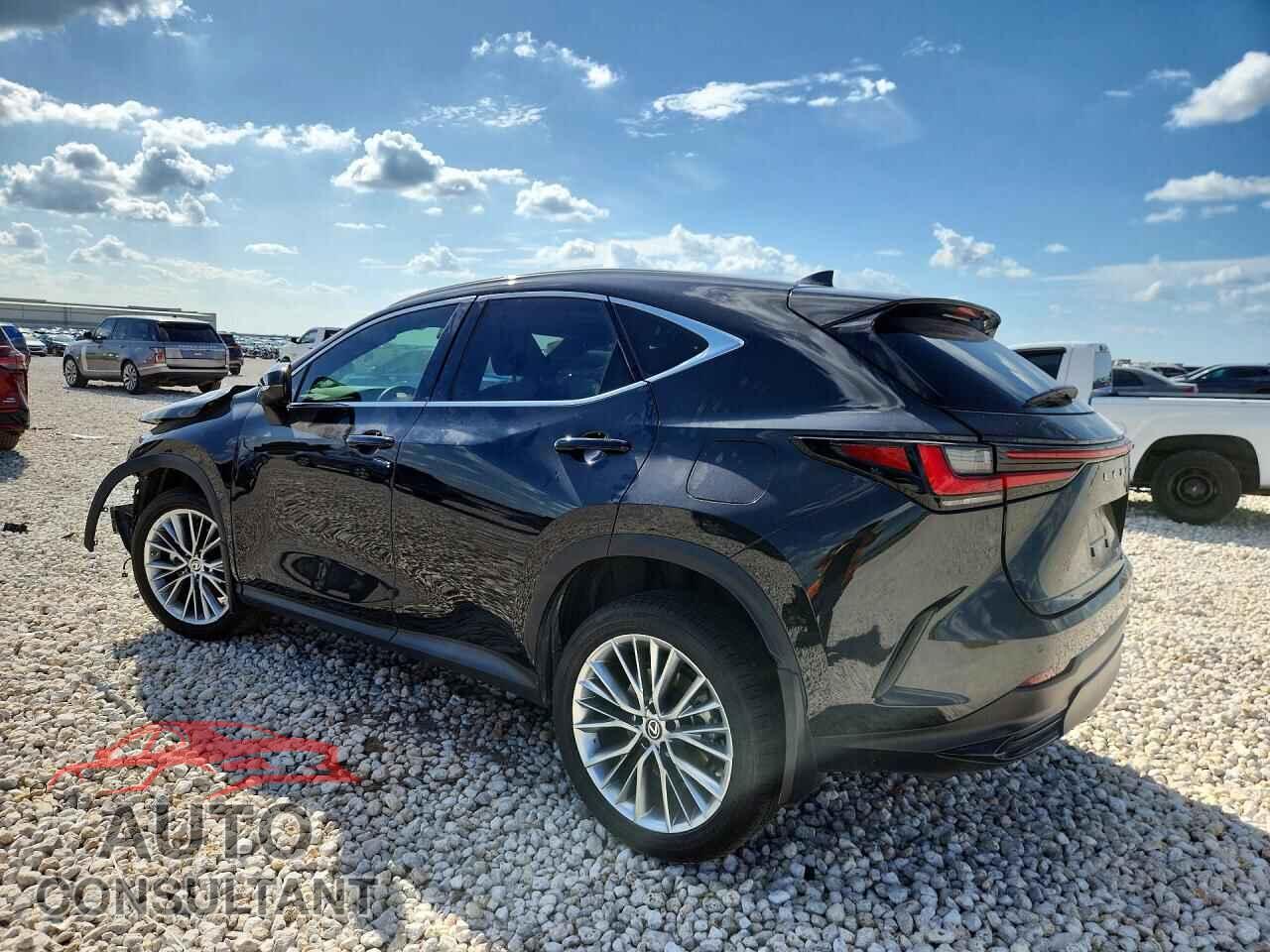 LEXUS NX 2022 - 2T2GKCEZ5NC001994