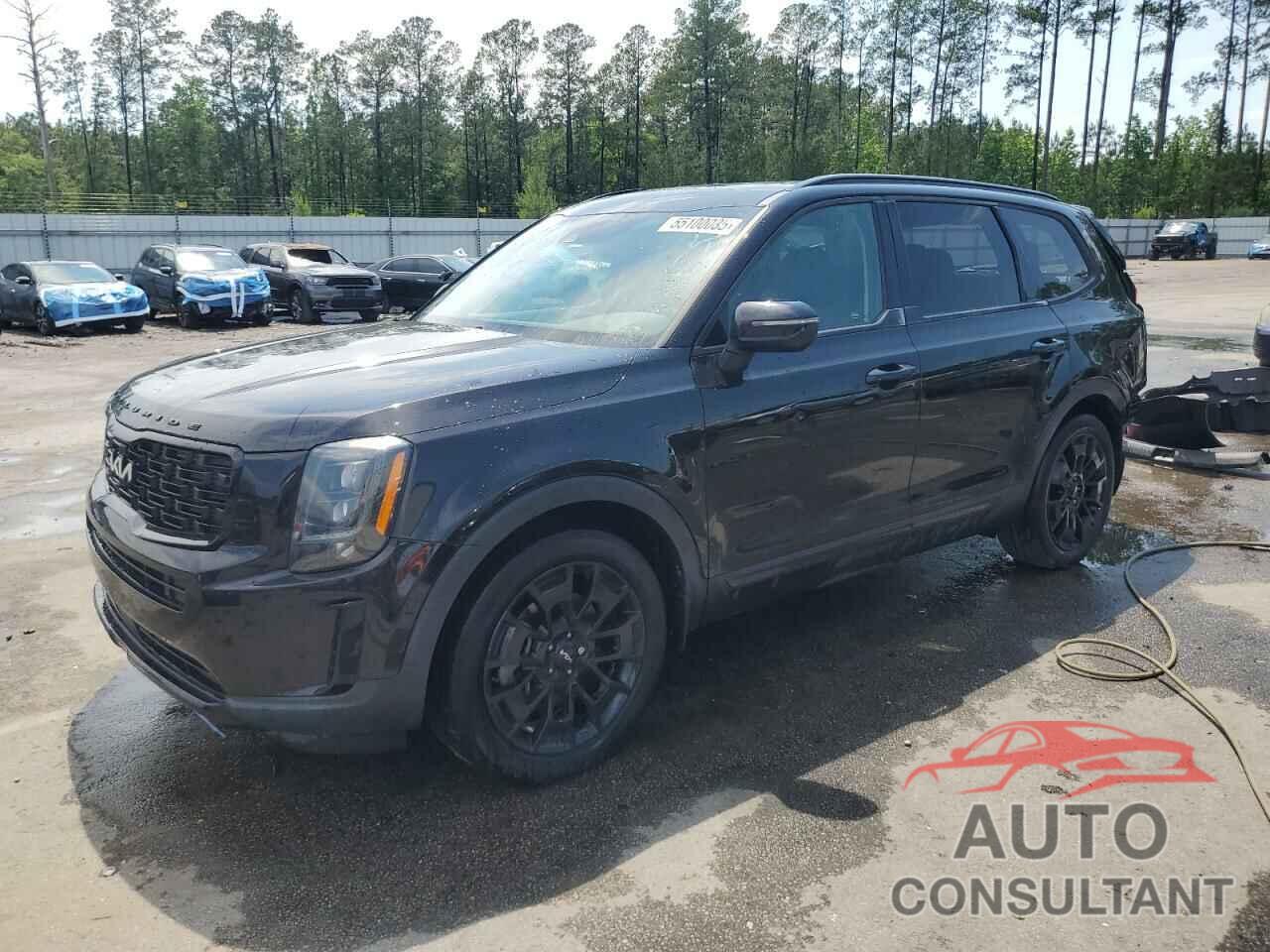 KIA TELLURIDE 2022 - 5XYP3DHC8NG235016