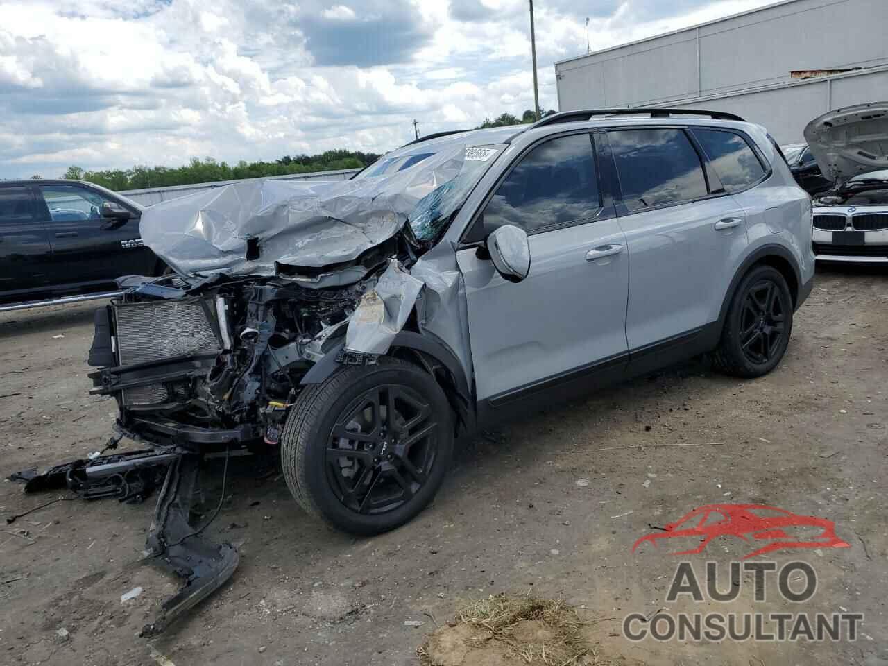 KIA TELLURIDE 2024 - 5XYP5DGC3RG440826