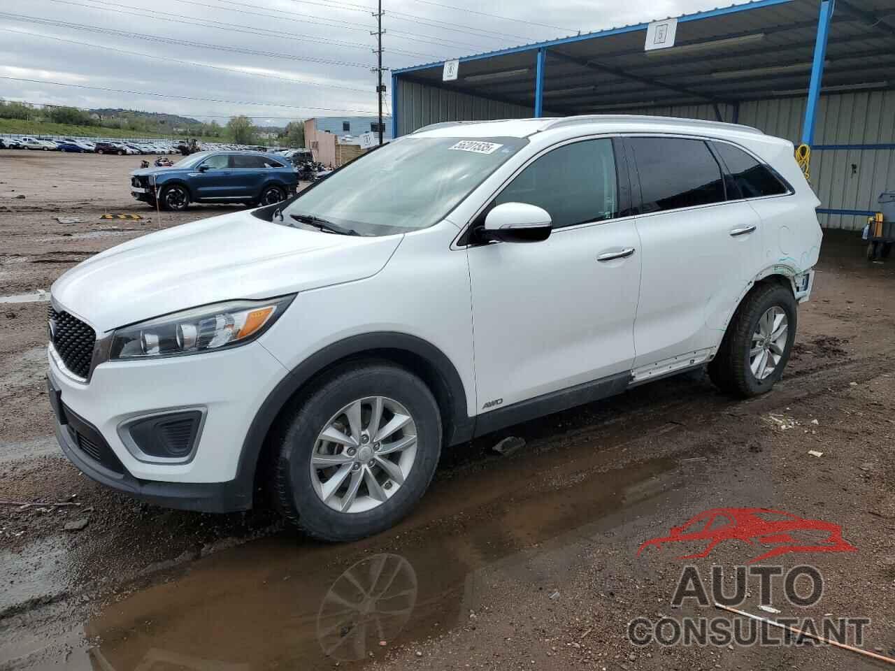 KIA SORENTO 2017 - 5XYPGDA37HG246687