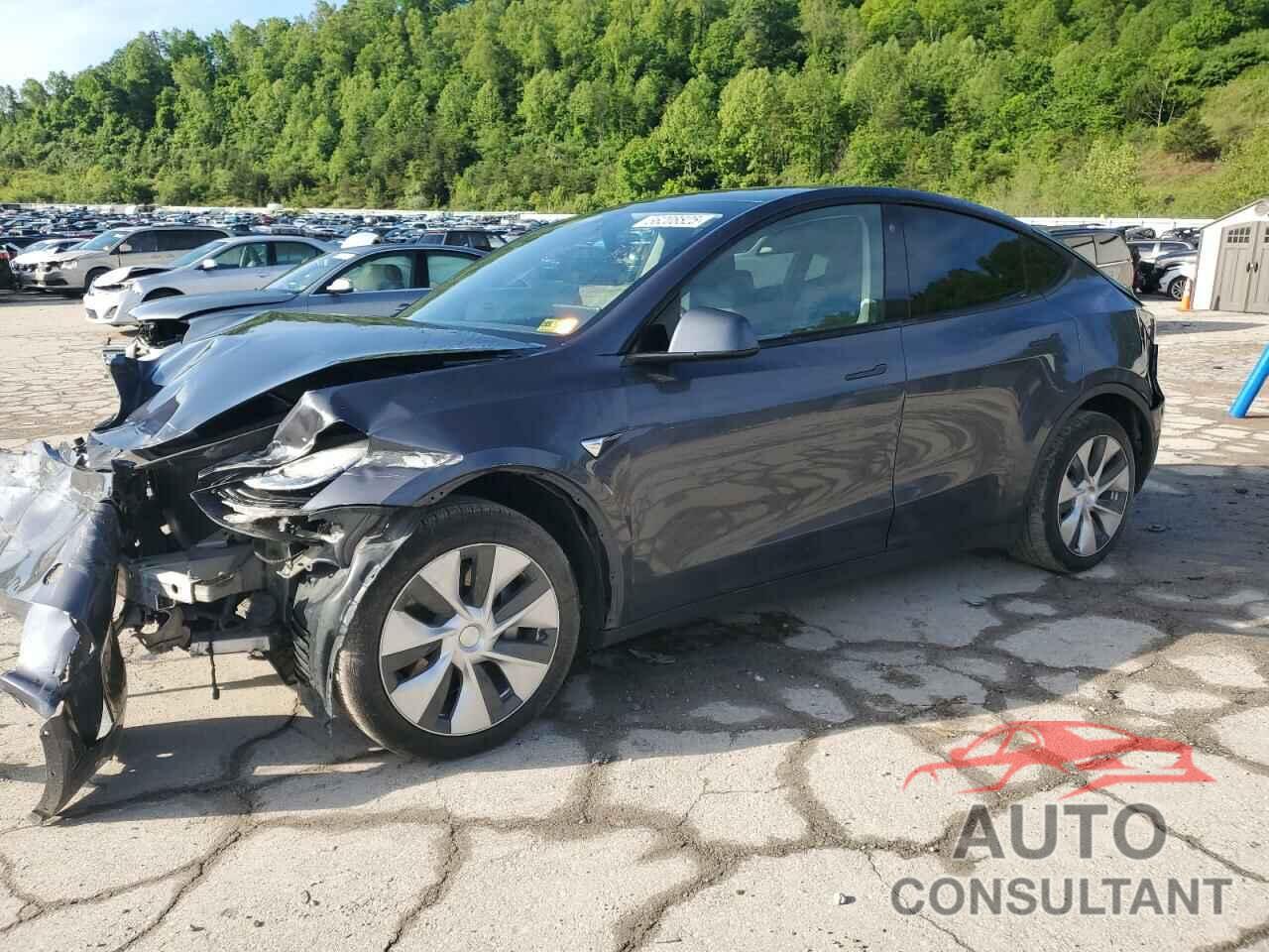 TESLA MODEL Y 2022 - 7SAYGDEE1NF430383