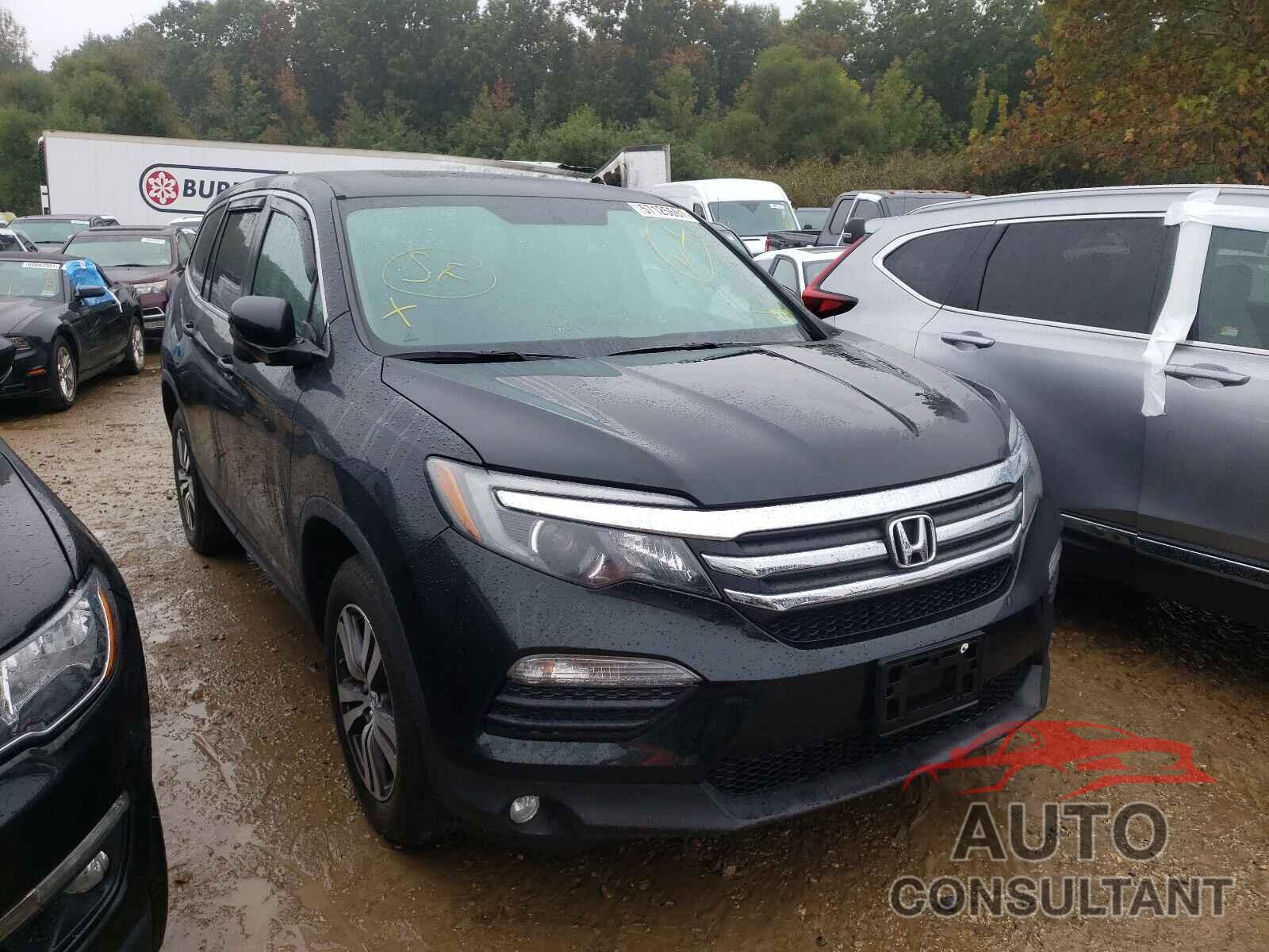 HONDA PILOT 2016 - 5FNYF6H51GB087049