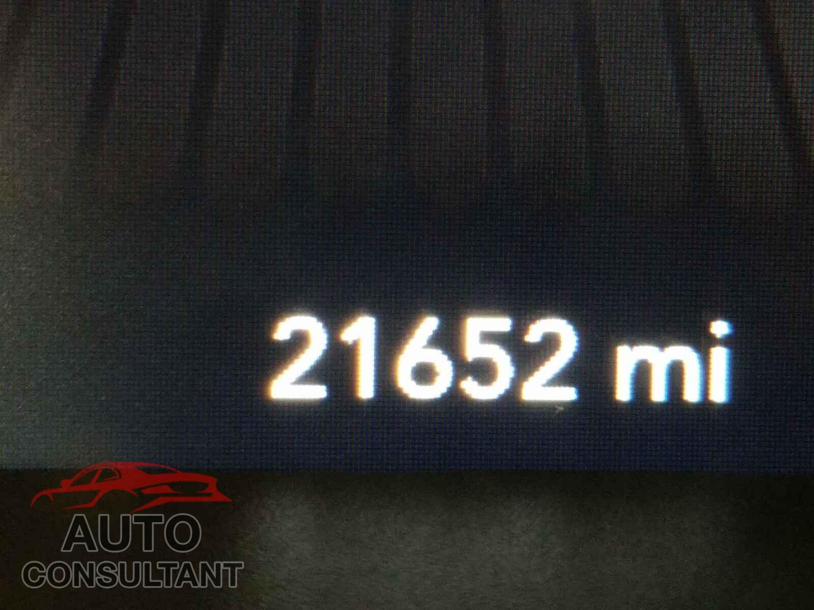 DODGE CHALLENGER 2019 - 2C3CDZBT6KH641301