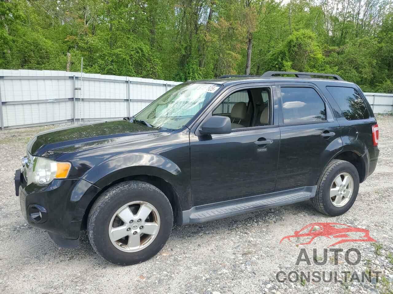 FORD ESCAPE 2011 - 1FMCU9DG0BKA65351