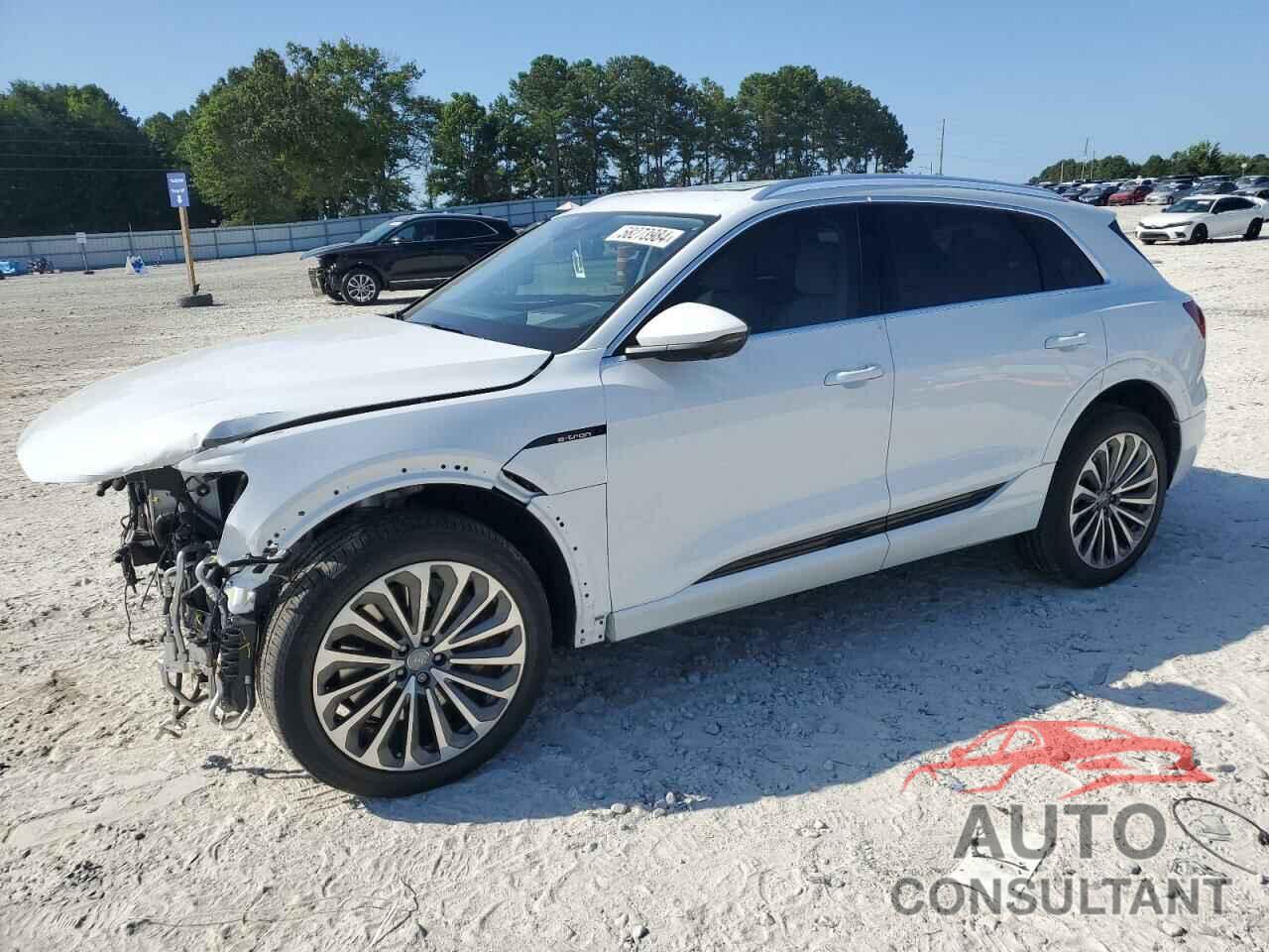 AUDI E-TRON 2019 - WA1VABGE4KB020981