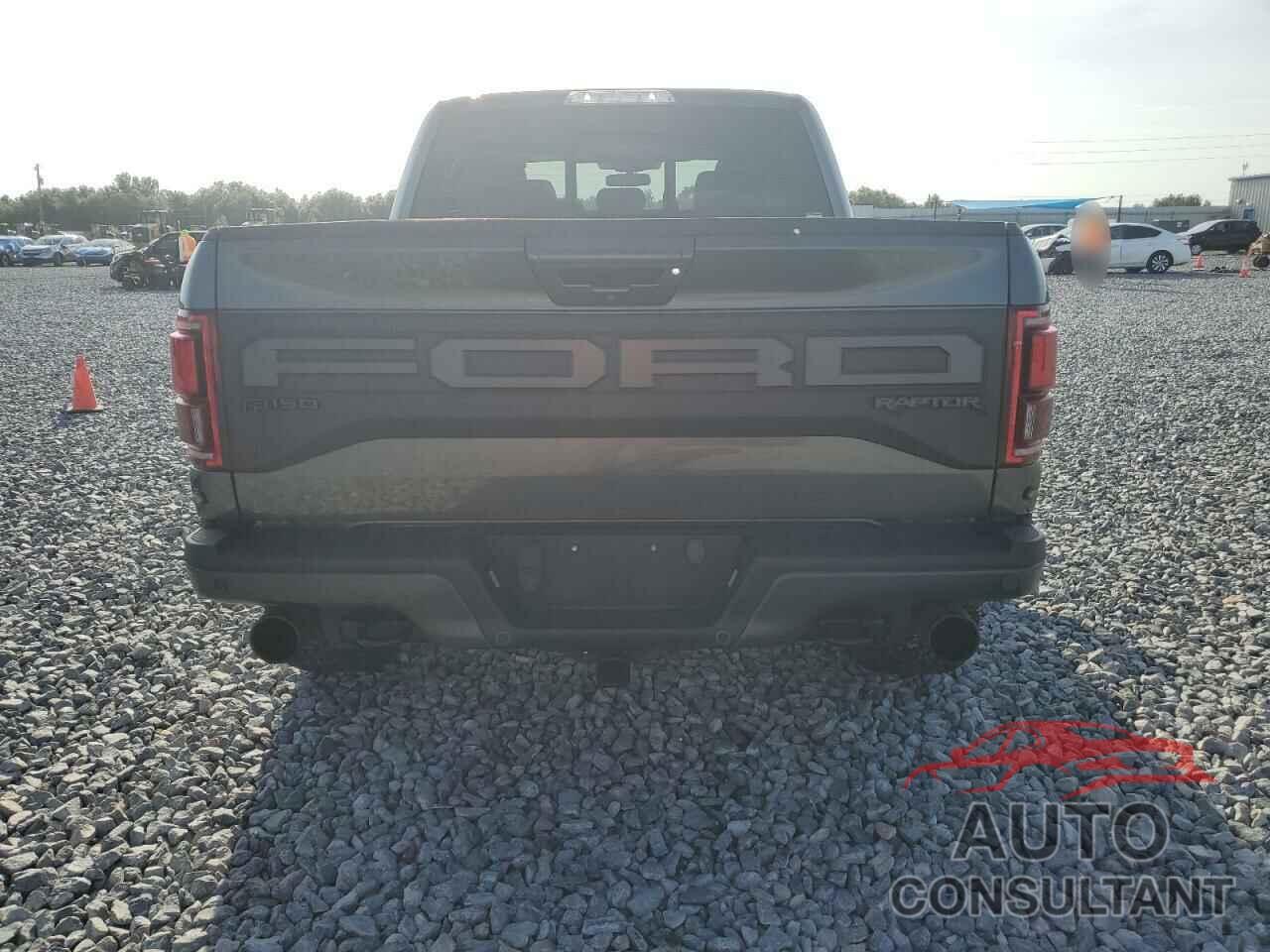 FORD F150 2019 - 1FTFW1RG2KFC03390