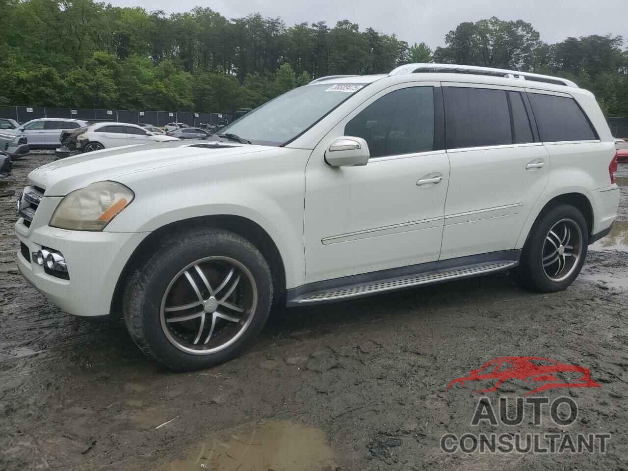 MERCEDES-BENZ GL-CLASS 2010 - 4JGBF7BE1AA541851