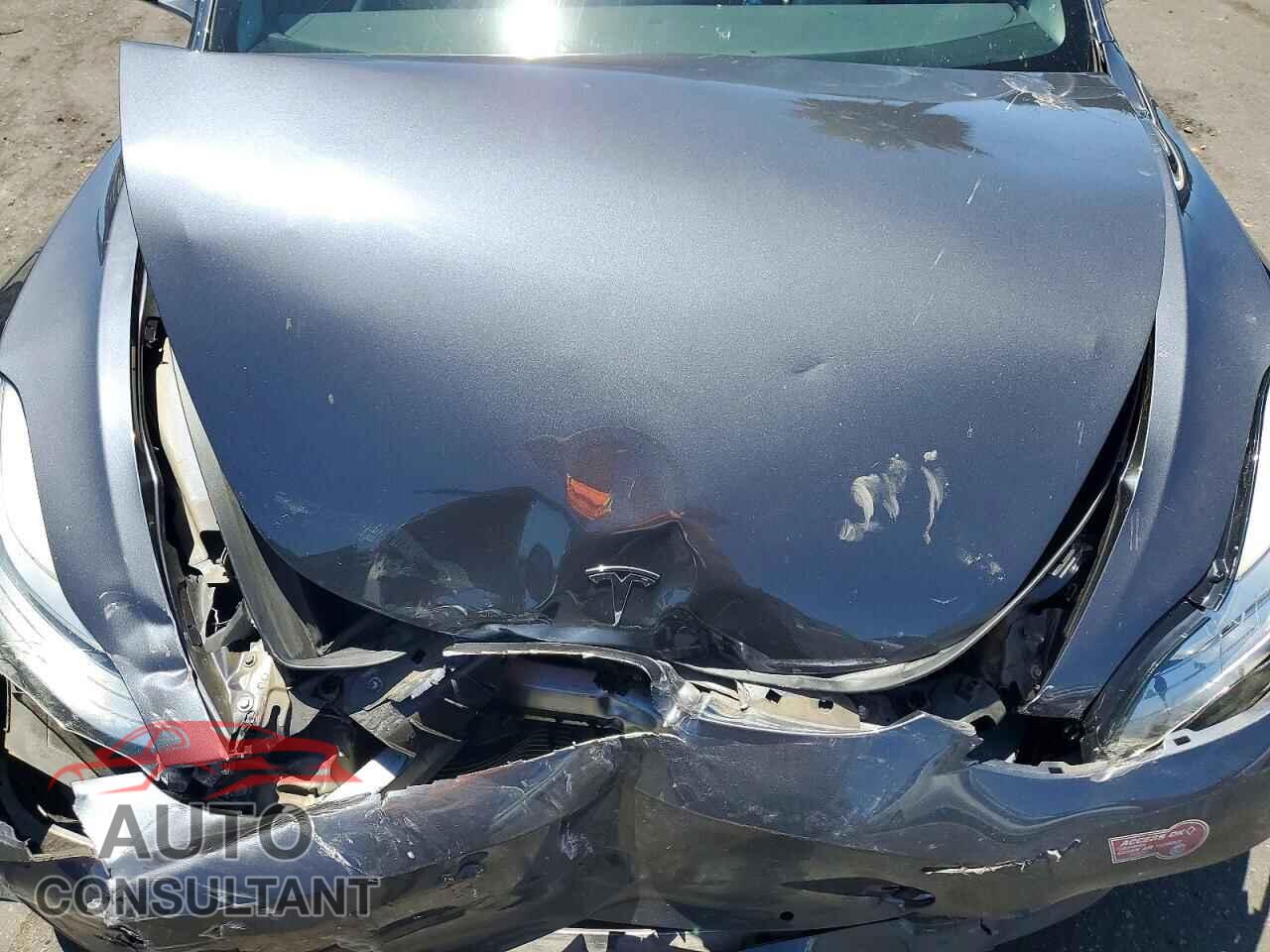 TESLA MODEL 3 2019 - 5YJ3E1EB0KF429545