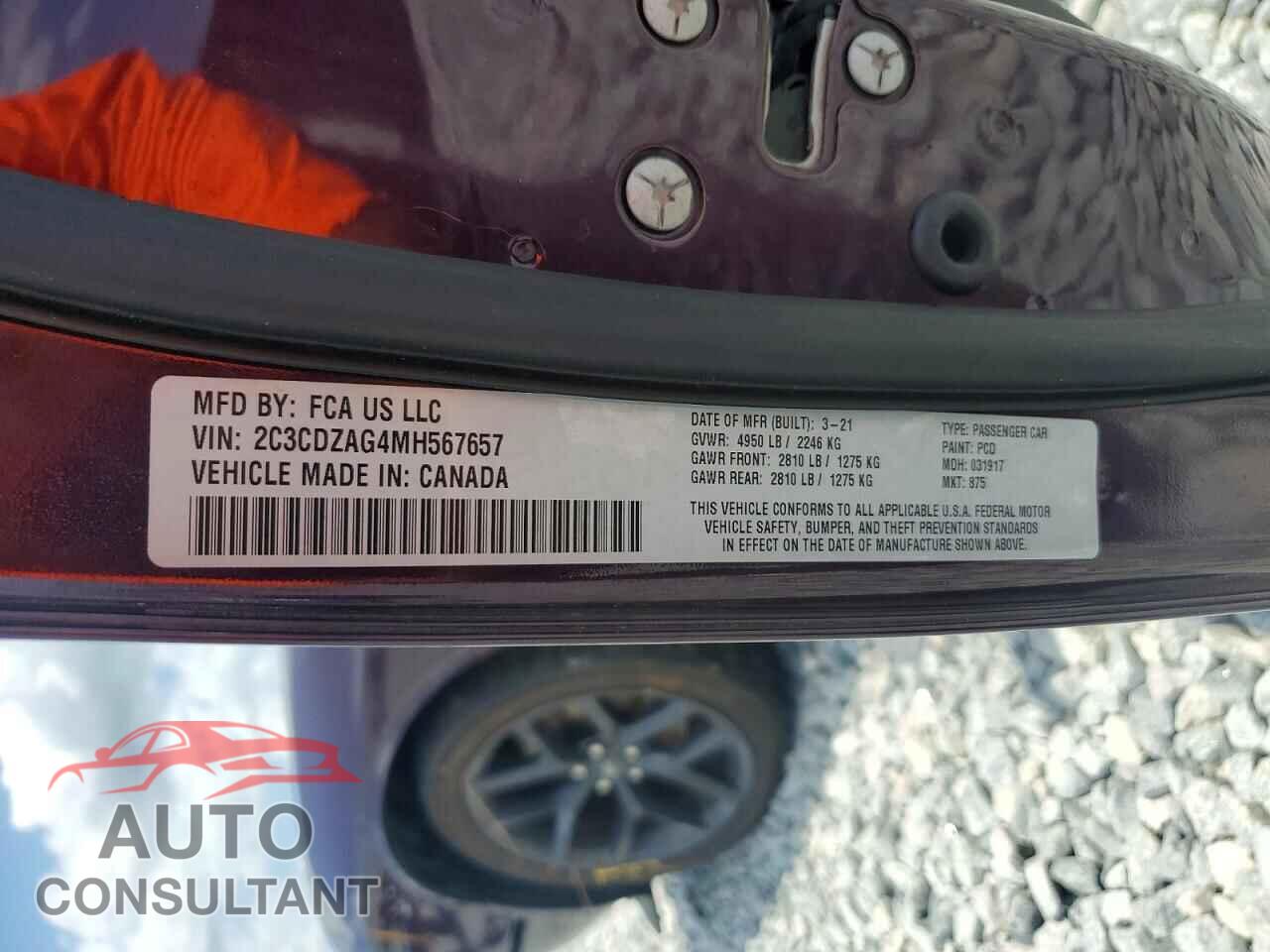 DODGE CHALLENGER 2021 - 2C3CDZAG4MH567657