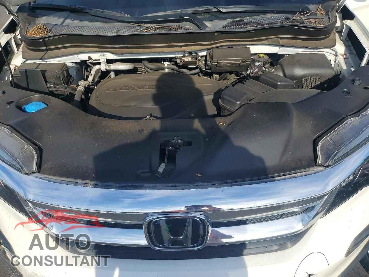 HONDA PILOT 2021 - 5FNYF6H59MB042811