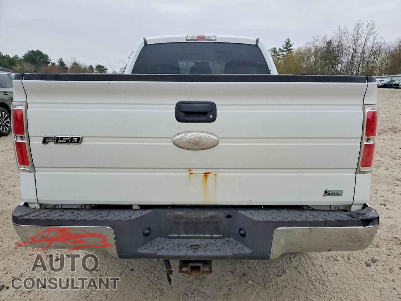 FORD F150 2011 - 1FTFX1EF3BFA76157