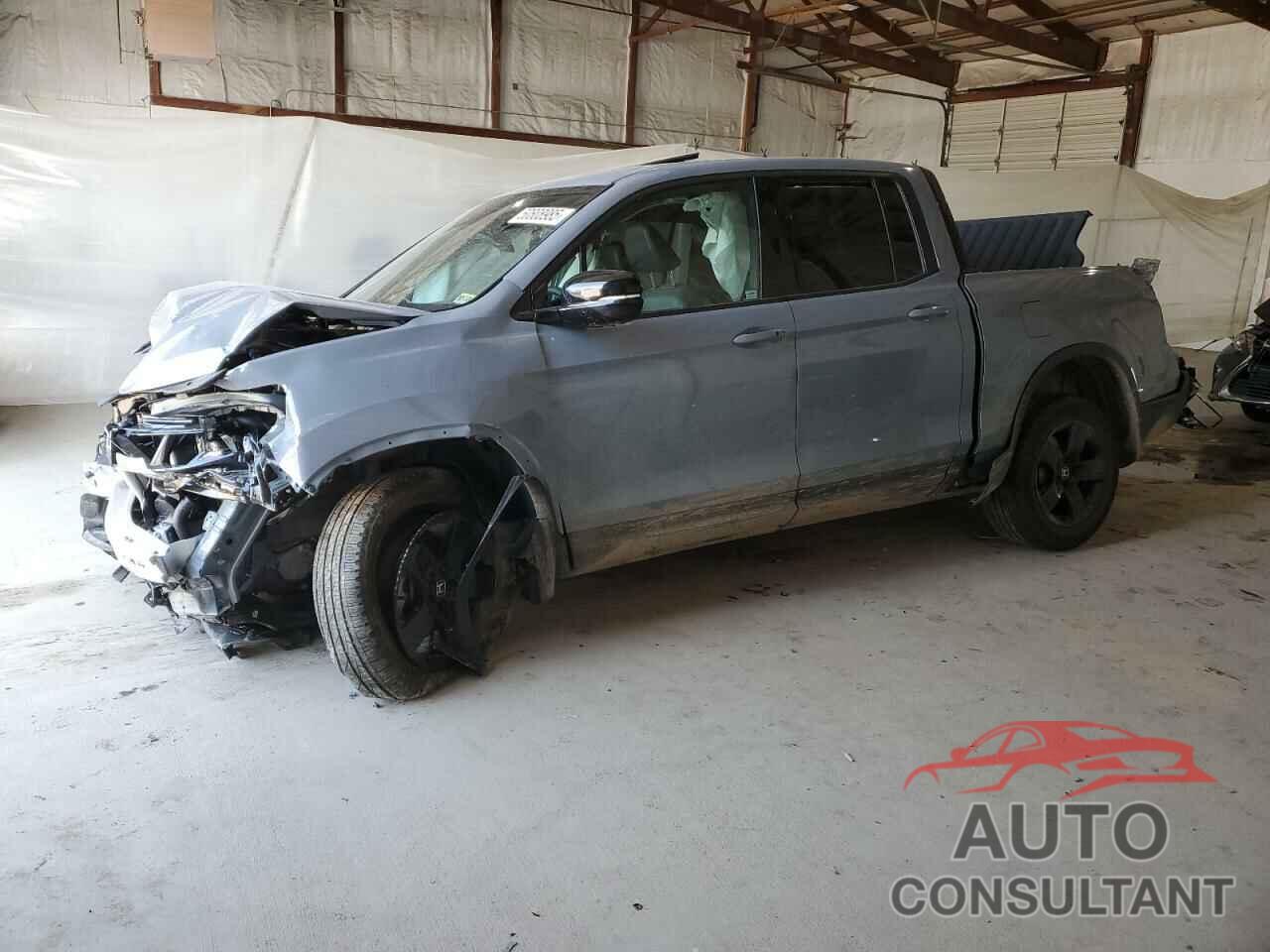HONDA RIDGELINE 2024 - 5FPYK3F86RB031576