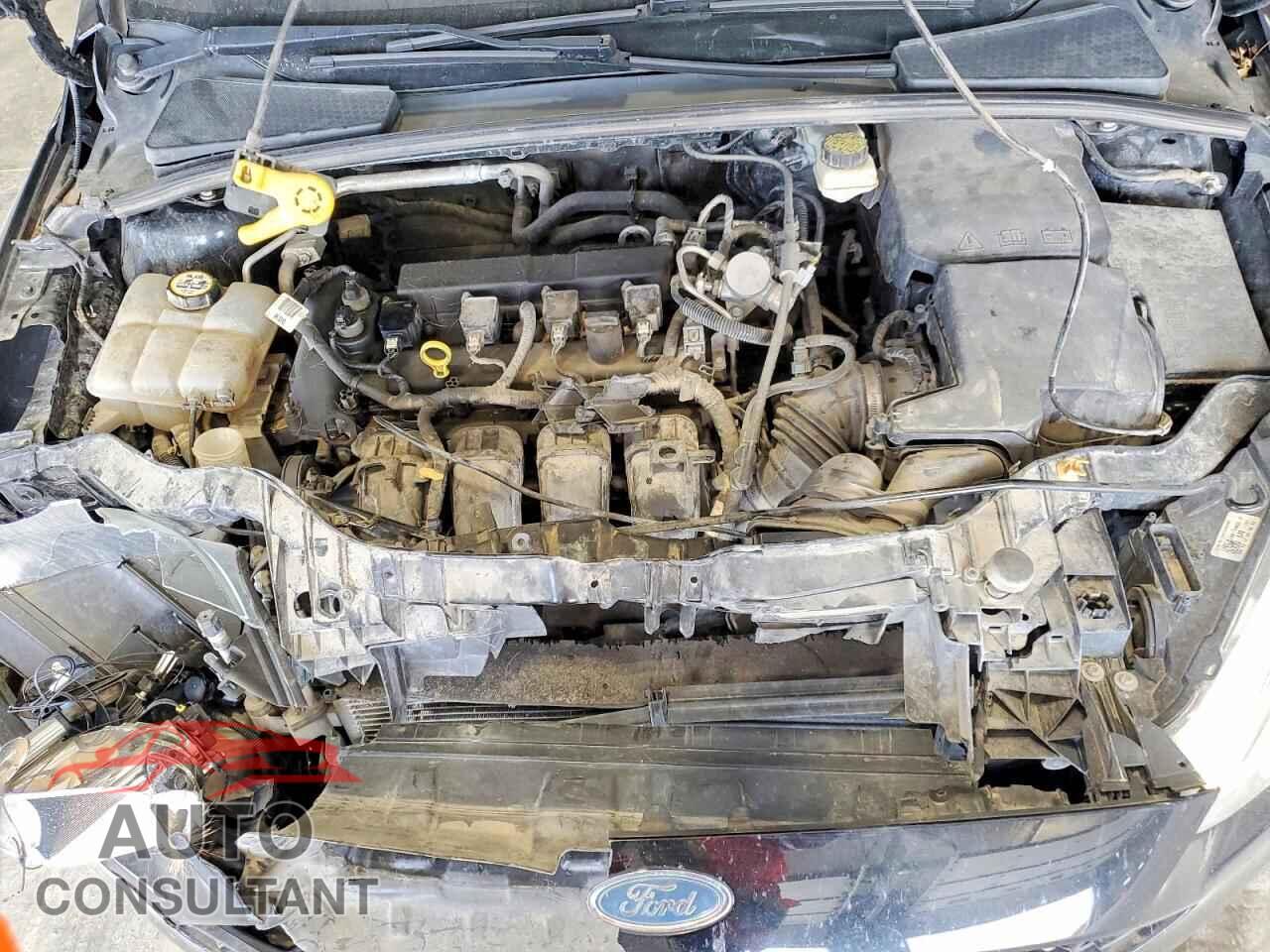 FORD FOCUS 2017 - 1FADP3F24HL248159