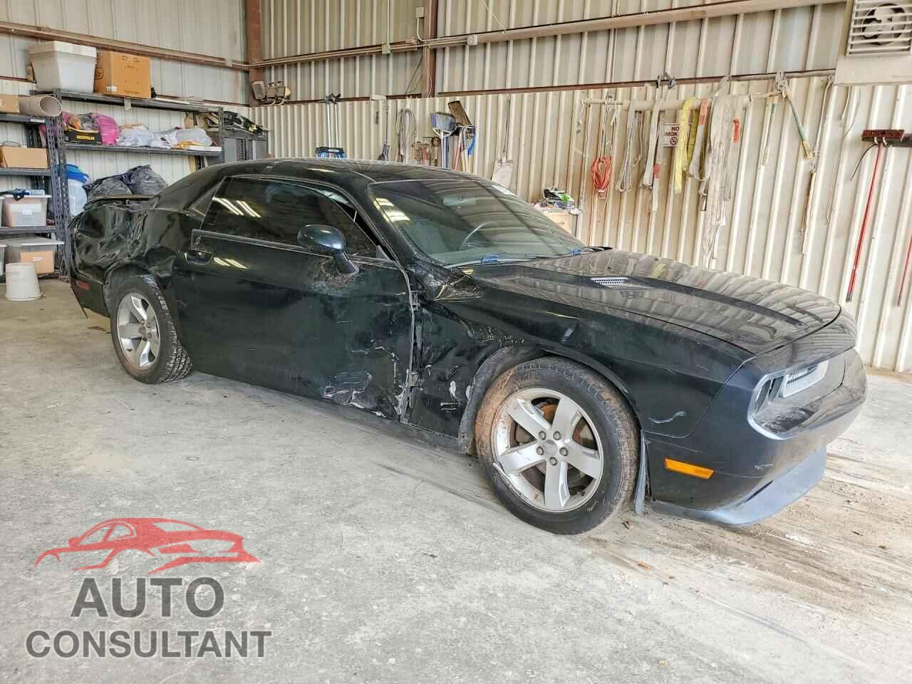 DODGE CHALLENGER 2014 - 2C3CDYAG2EH247703