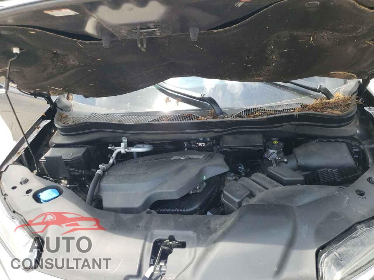 HONDA PILOT 2019 - 5FNYF5H90KB043338