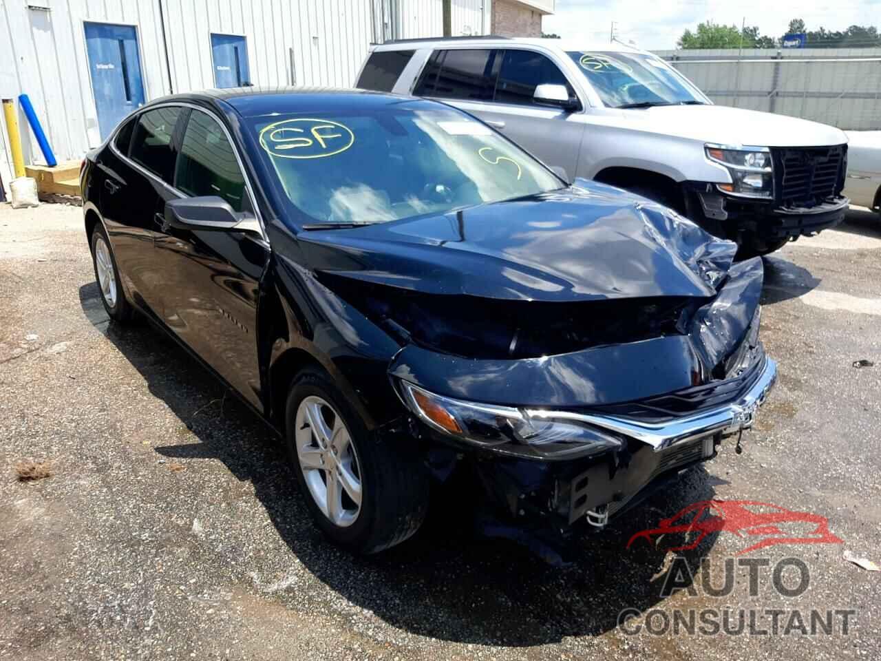 CHEVROLET MALIBU 2019 - 1G1ZB5ST8KF173974