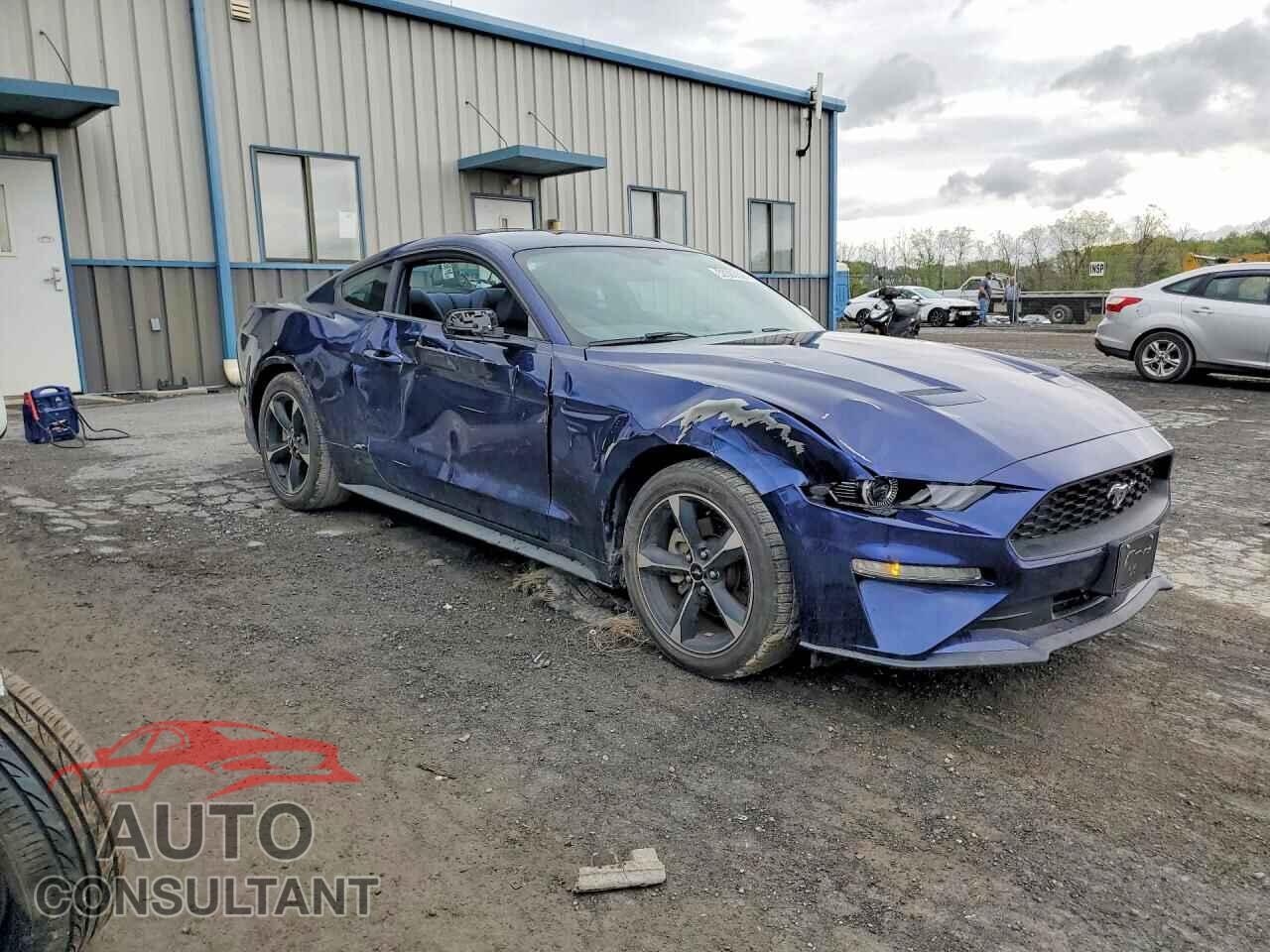 FORD MUSTANG 2019 - 1FA6P8TH0K5117465