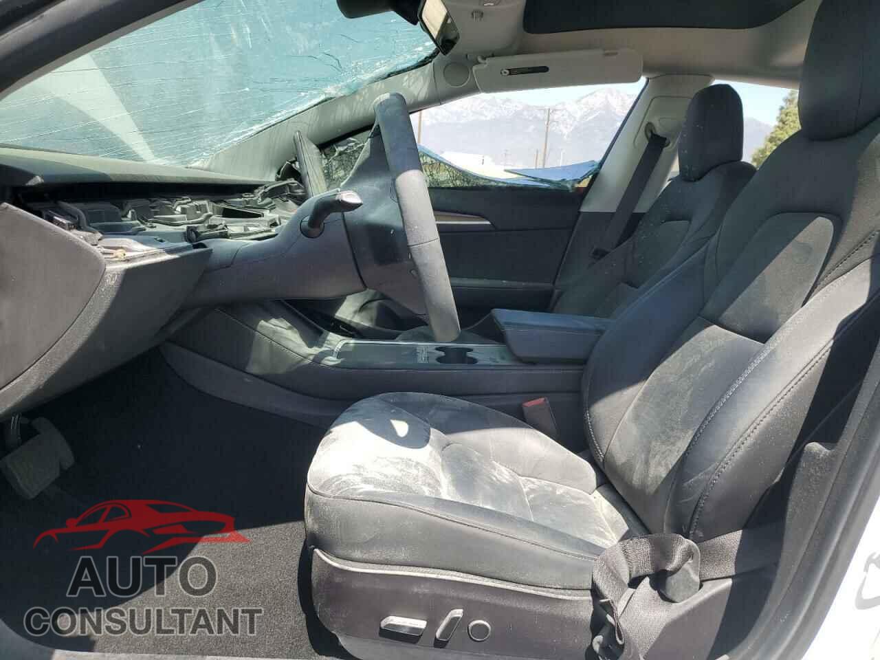 TESLA MODEL 3 2021 - 5YJ3E1EB2MF007067