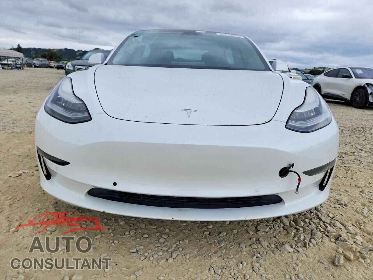 TESLA MODEL 3 2020 - 5YJ3E1EA4LF590957