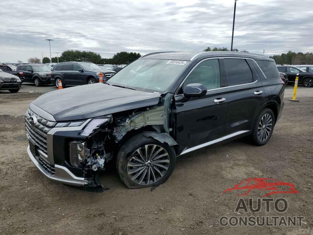 HYUNDAI PALISADE 2025 - KM8R7DGE1SU855437