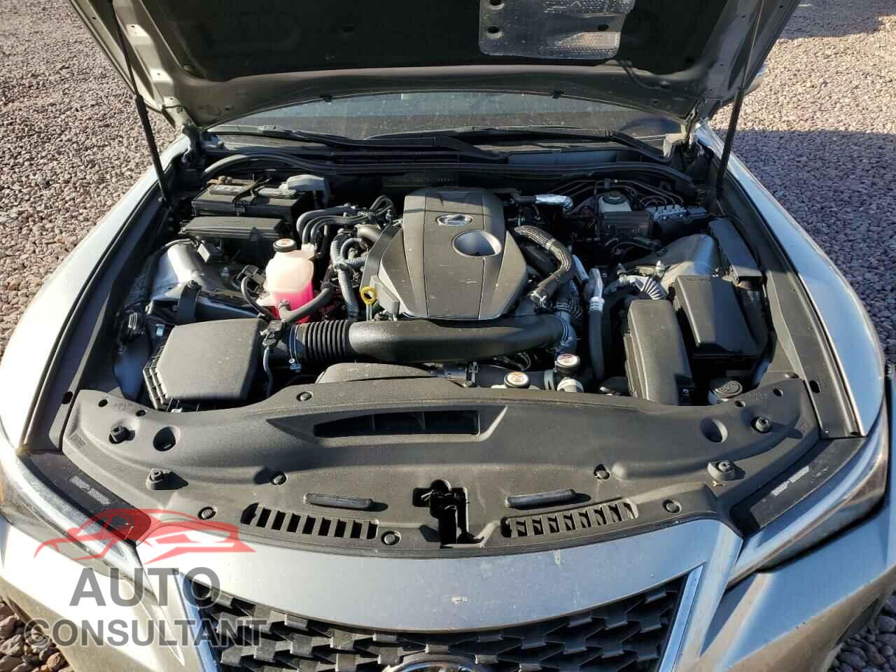 LEXUS IS 2021 - JTHCA1D25M5109282
